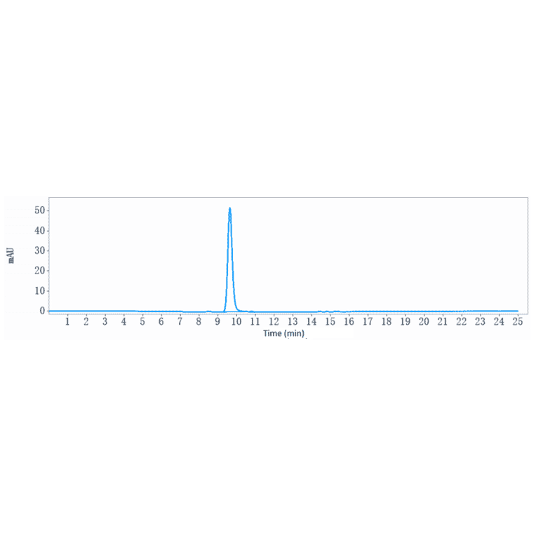 SEC-HPLC - Anti-CA19-9 Antibody [MVT-5873] - Low endotoxin, Azide free (A323912) - Antibodies.com