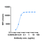 FACS - Anti-Cannabinoid Receptor I Antibody [GFB-024] - Low endotoxin, Azide free (A323913) - Antibodies.com