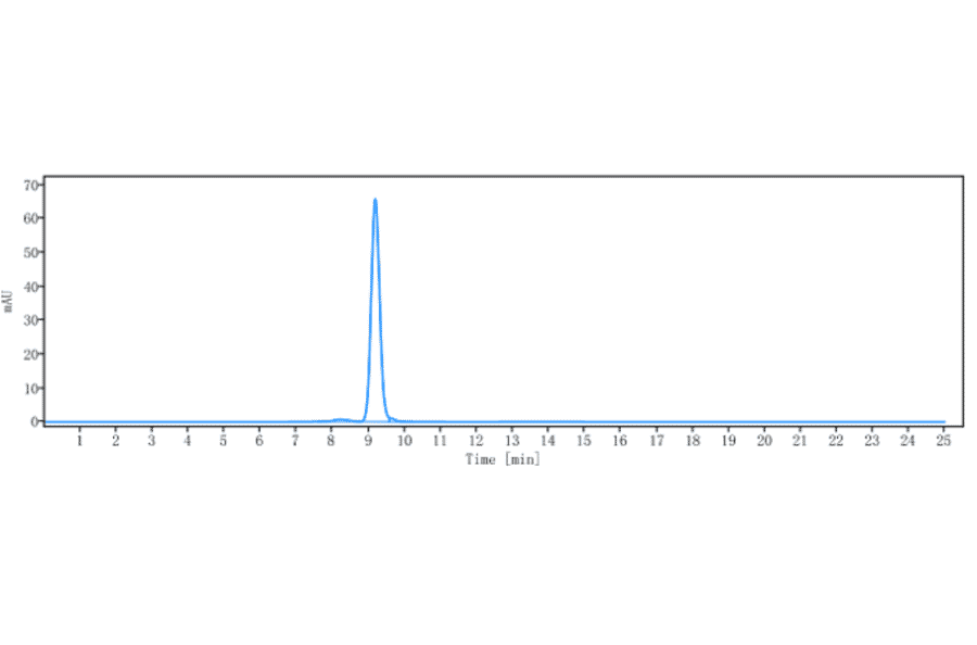 SEC-HPLC - Anti-Cathepsin S Antibody [Research Grade Biosimilar] - Low endotoxin, Azide free (A323915) - Antibodies.com