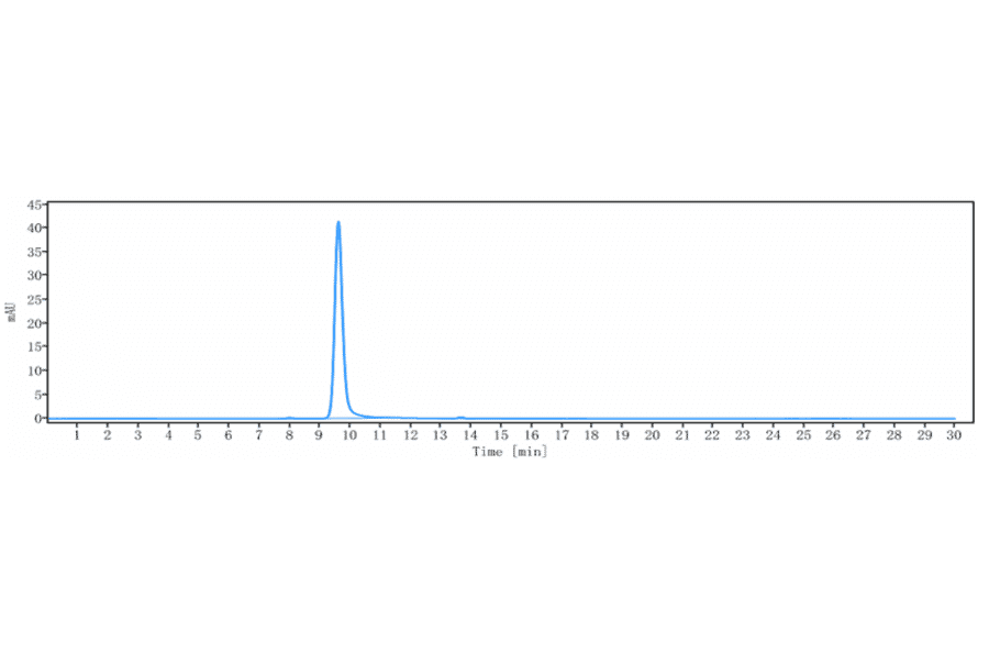 SEC-HPLC - Anti-CCR7 Antibody [R707] - Low endotoxin, Azide free (A323916) - Antibodies.com