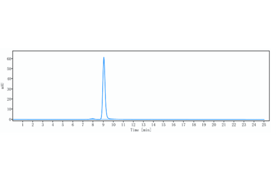 SEC-HPLC - Anti-CD133 Antibody [Research Grade Biosimilar] - Low endotoxin, Azide free (A323918) - Antibodies.com