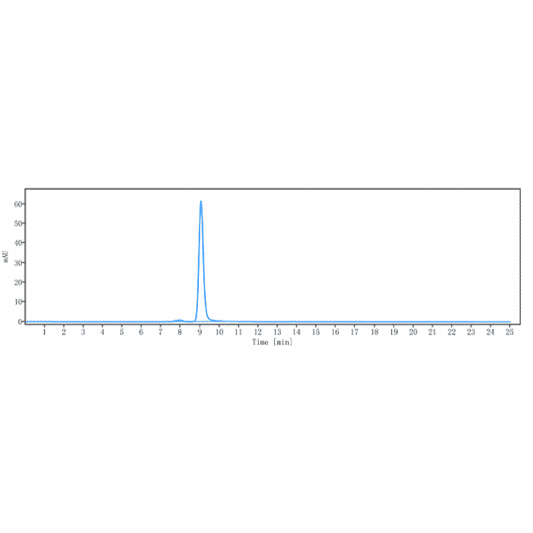 SEC-HPLC - Anti-CD133 Antibody [Research Grade Biosimilar] - Low endotoxin, Azide free (A323918) - Antibodies.com