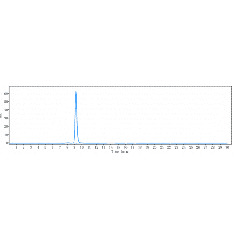 SEC-HPLC - Anti-CD19 Antibody [Research Grade Biosimilar] - Low endotoxin, Azide free (A323927) - Antibodies.com