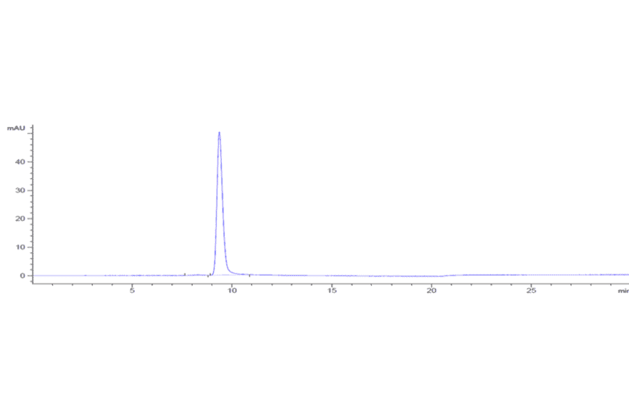 SEC-HPLC - Anti-CD200R Antibody [Research Grade Biosimilar] - Low endotoxin, Azide free (A323931) - Antibodies.com