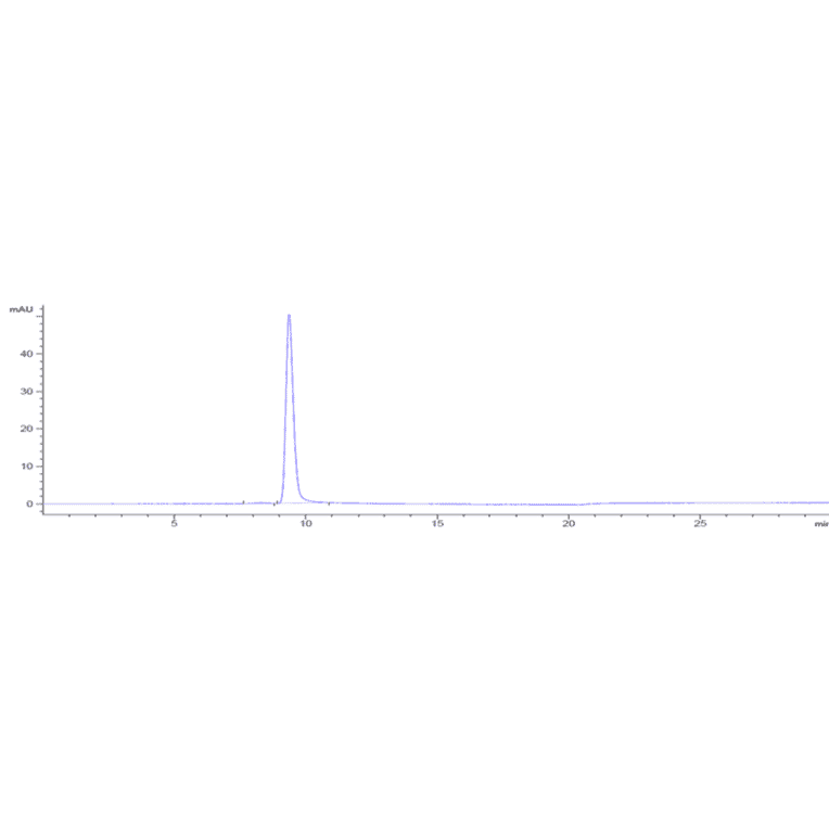 SEC-HPLC - Anti-CD200R Antibody [Research Grade Biosimilar] - Low endotoxin, Azide free (A323931) - Antibodies.com
