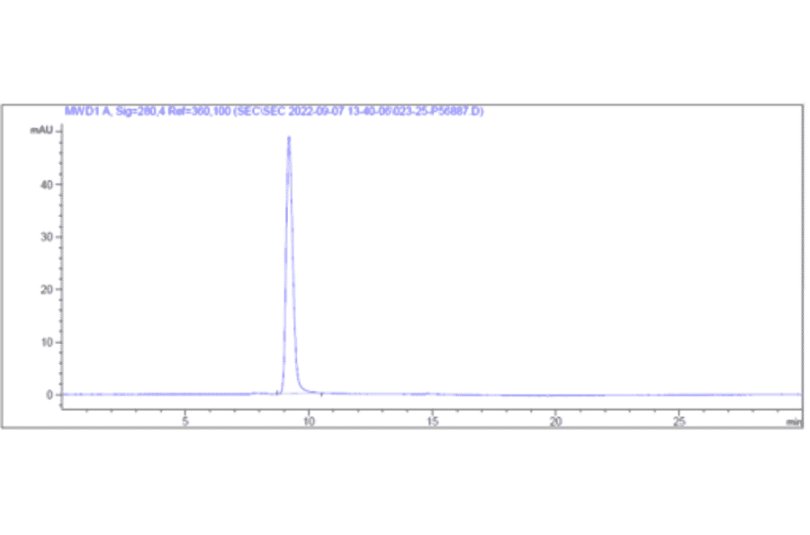 SEC-HPLC - Anti-CD22 Antibody [NCI m972] - Low endotoxin, Azide free (A323933) - Antibodies.com