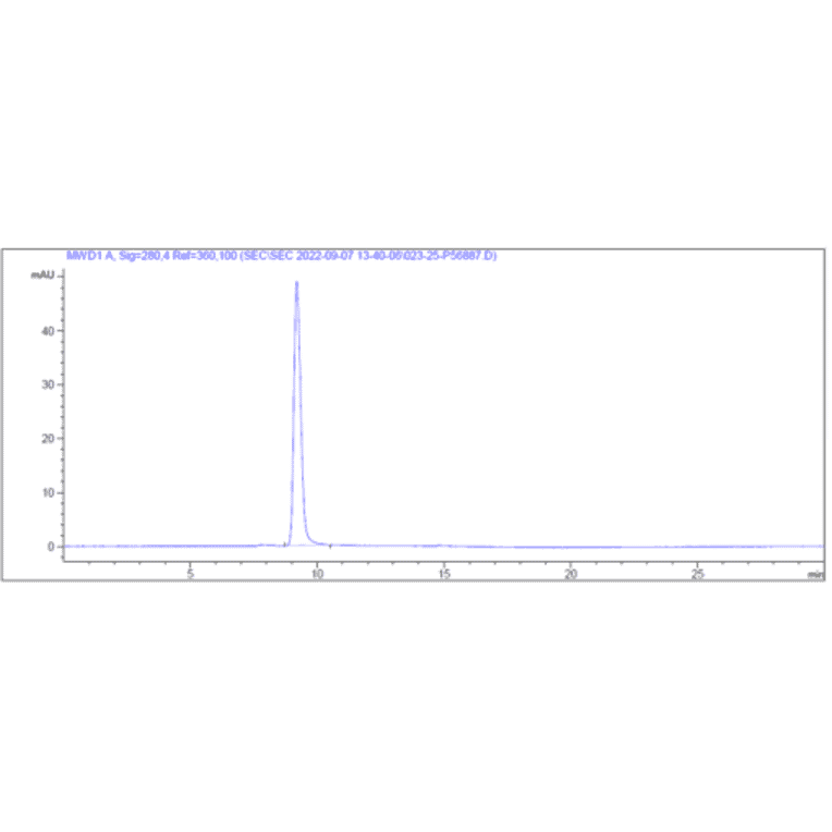 SEC-HPLC - Anti-CD22 Antibody [NCI m972] - Low endotoxin, Azide free (A323933) - Antibodies.com