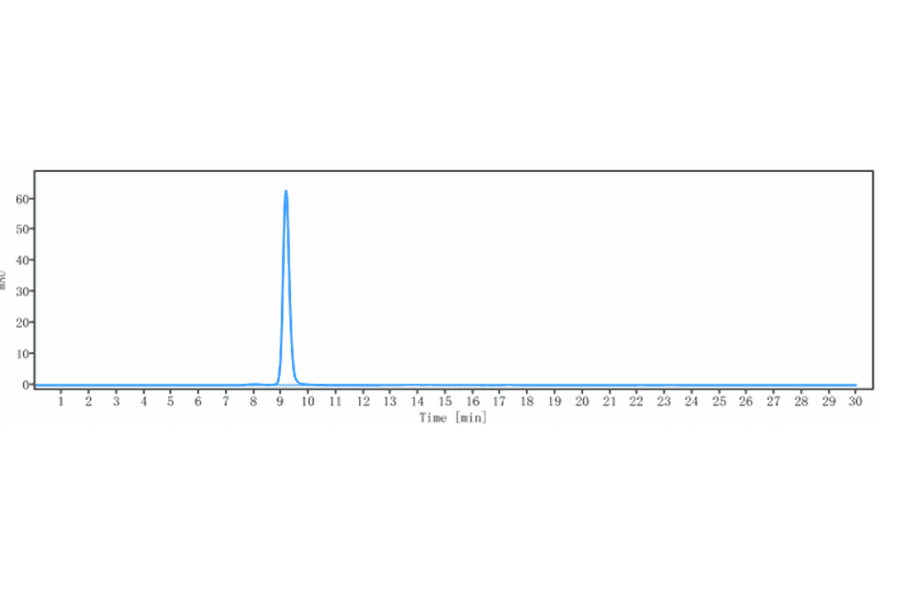 SEC-HPLC - Anti-CD276 Antibody [Research Grade Biosimilar] - Low endotoxin, Azide free (A323935) - Antibodies.com