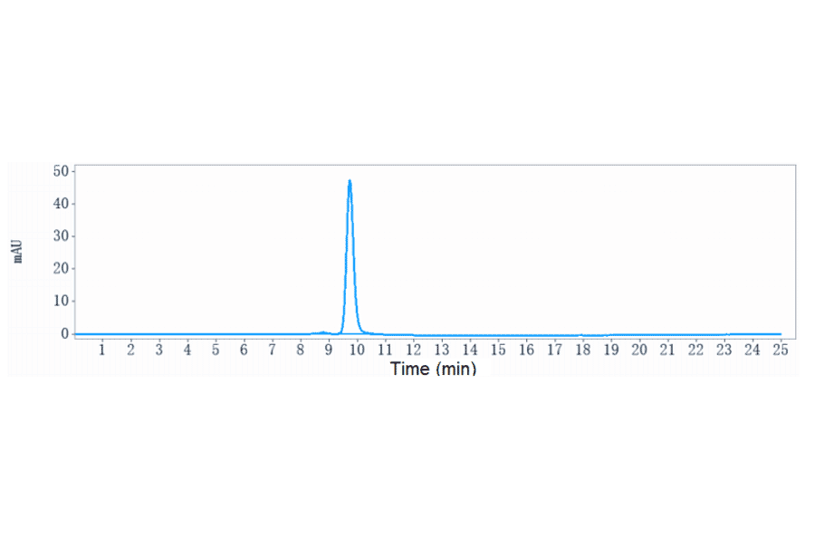 SEC-HPLC - Anti-CD28 Antibody [FR104] - Low endotoxin, Azide free (A323936) - Antibodies.com