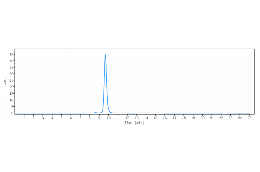 SEC-HPLC - Anti-CD34 Antibody [Research Grade Biosimilar] - Low endotoxin, Azide free (A323939) - Antibodies.com