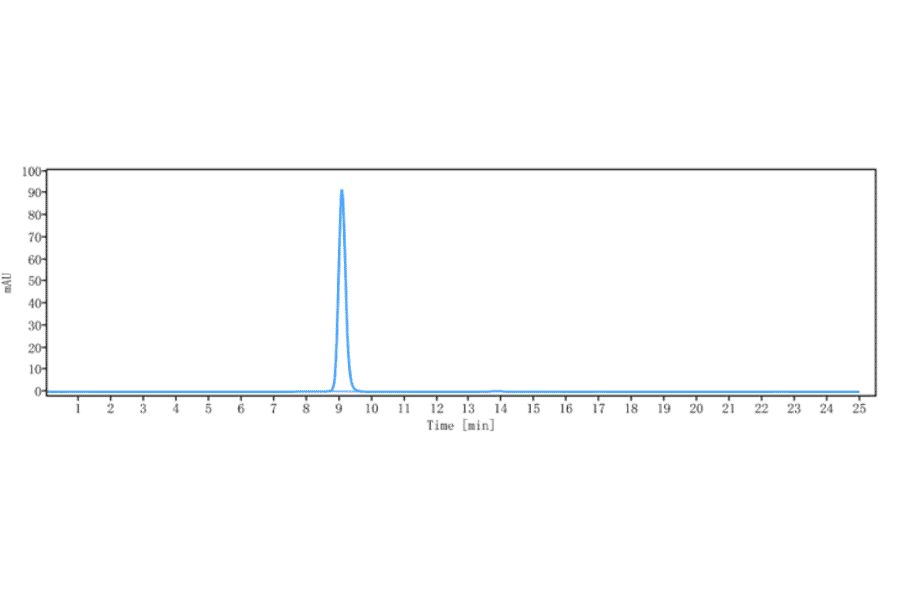 SEC-HPLC - Anti-CD37 Antibody [AGS67E] - Low endotoxin, Azide free (A323941) - Antibodies.com