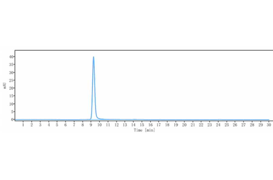 SEC-HPLC - Anti-CD39 Antibody [TTX-030] - Low endotoxin, Azide free (A323942) - Antibodies.com