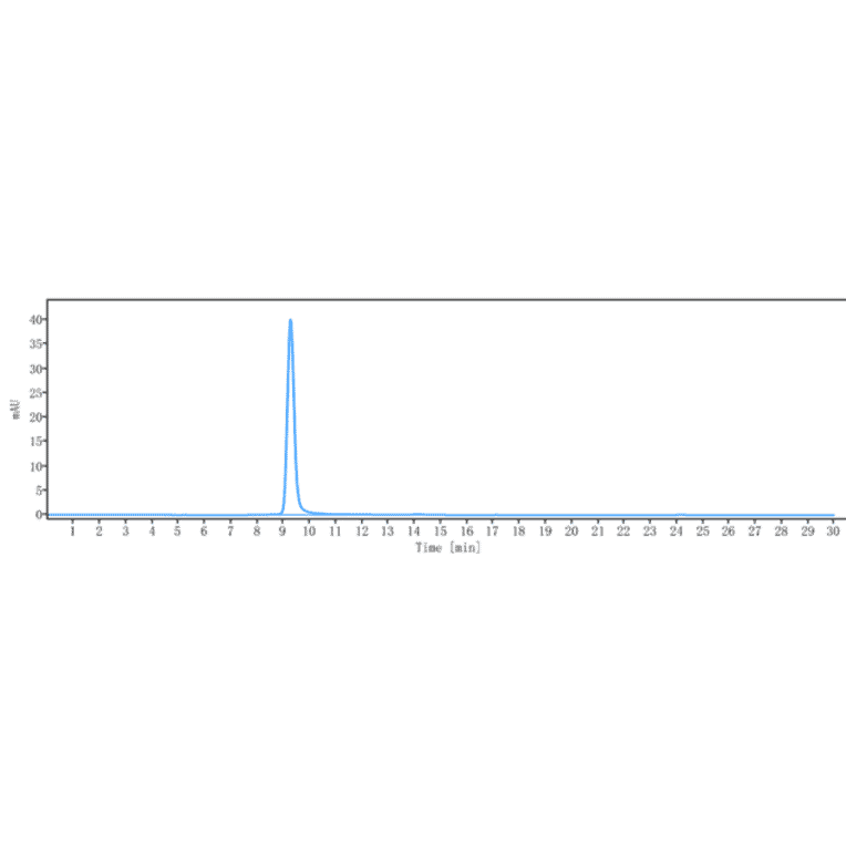 SEC-HPLC - Anti-CD39 Antibody [TTX-030] - Low endotoxin, Azide free (A323942) - Antibodies.com