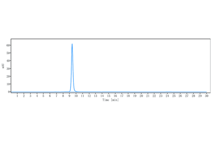 SEC-HPLC - Anti-CD45 Antibody [Research Grade Biosimilar] - Low endotoxin, Azide free (A323945) - Antibodies.com