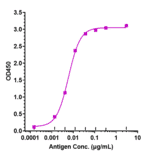 ELISA - Anti-CD45 Antibody [Research Grade Biosimilar] - Low endotoxin, Azide free (A323945) - Antibodies.com
