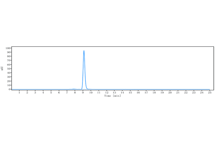 SEC-HPLC - Anti-CD46 Antibody [FOR46] - Low endotoxin, Azide free (A323946) - Antibodies.com