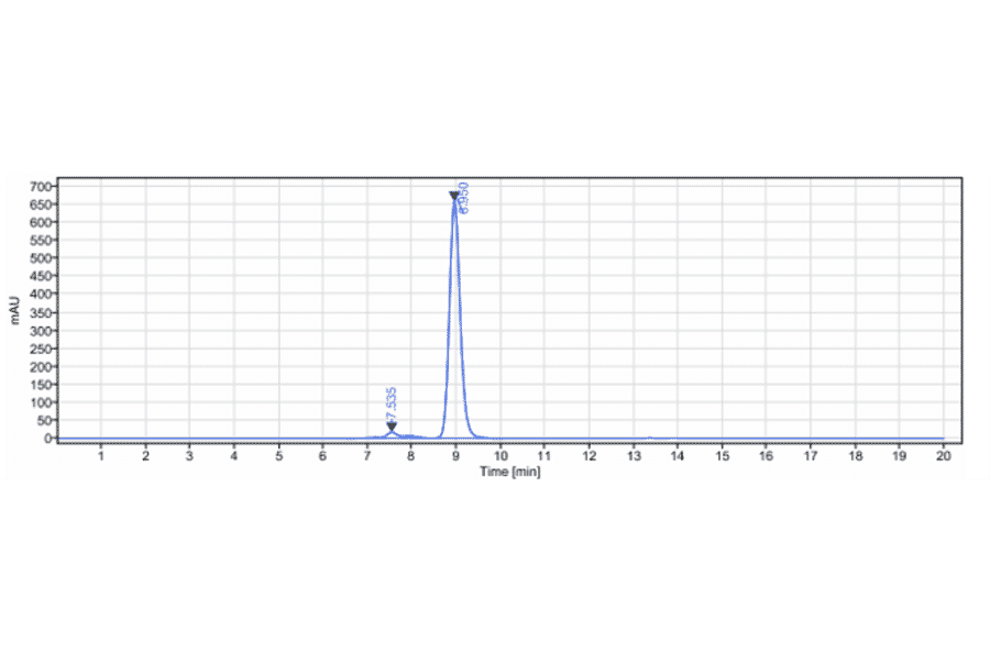 SEC-HPLC - Anti-CD69 Antibody [Research Grade Biosimilar] - Low endotoxin, Azide free (A323953) - Antibodies.com