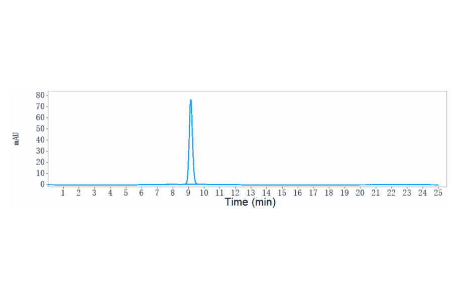 SEC-HPLC - Anti-CD83 Antibody [Research Grade Biosimilar] - Low endotoxin, Azide free (A323955) - Antibodies.com