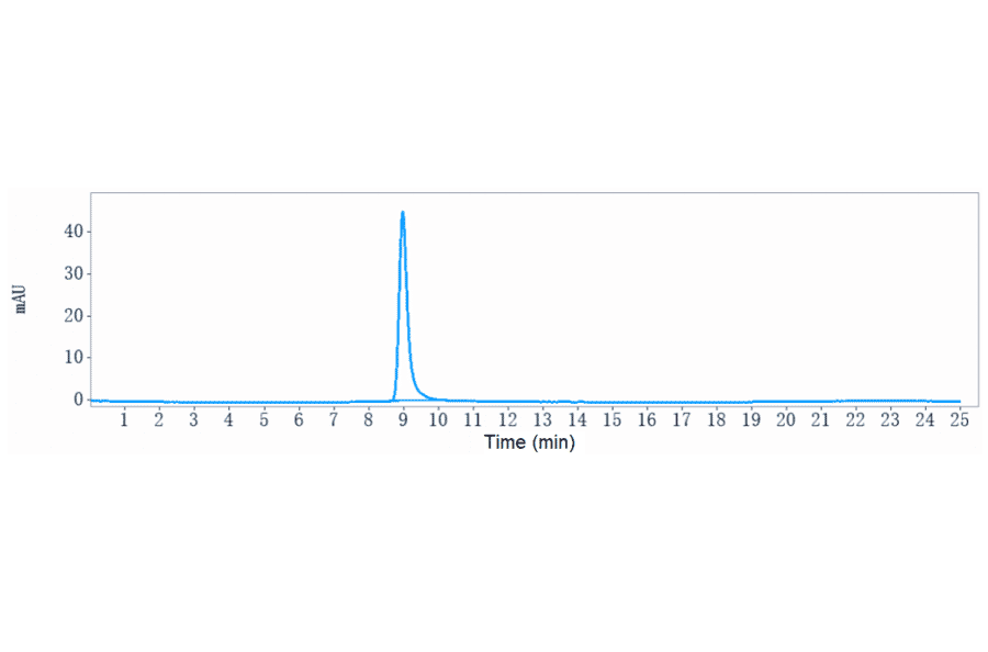 SEC-HPLC - Anti-CD9 Antibody [Research Grade Biosimilar] - Low endotoxin, Azide free (A323956) - Antibodies.com