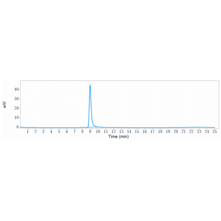 SEC-HPLC - Anti-CD9 Antibody [Research Grade Biosimilar] - Low endotoxin, Azide free (A323956) - Antibodies.com