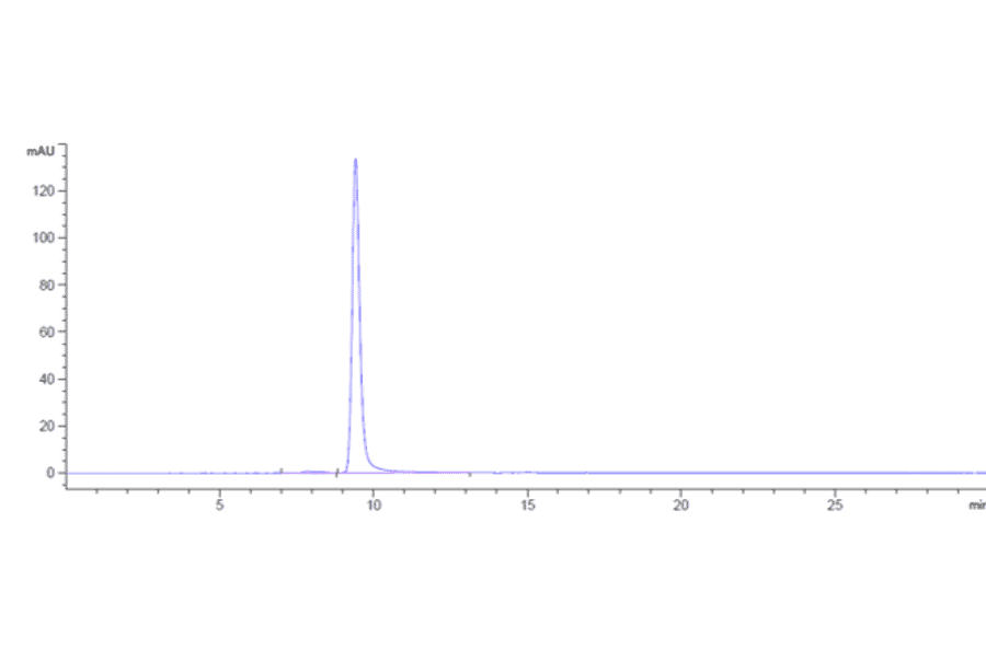 SEC-HPLC - Anti-CDCP1 Antibody [Research Grade Biosimilar] - Low endotoxin, Azide free (A323960) - Antibodies.com