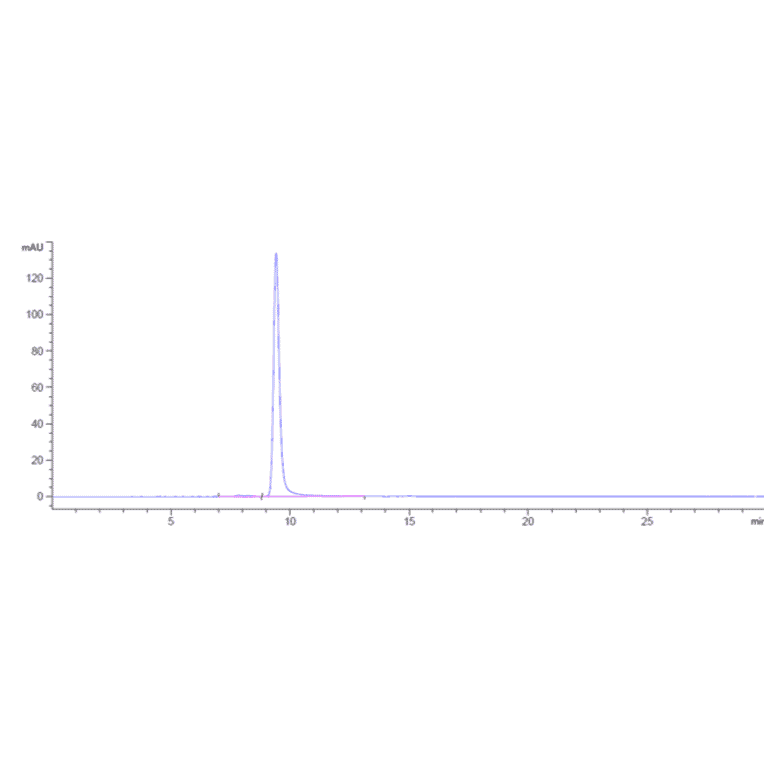 SEC-HPLC - Anti-CDCP1 Antibody [Research Grade Biosimilar] - Low endotoxin, Azide free (A323960) - Antibodies.com