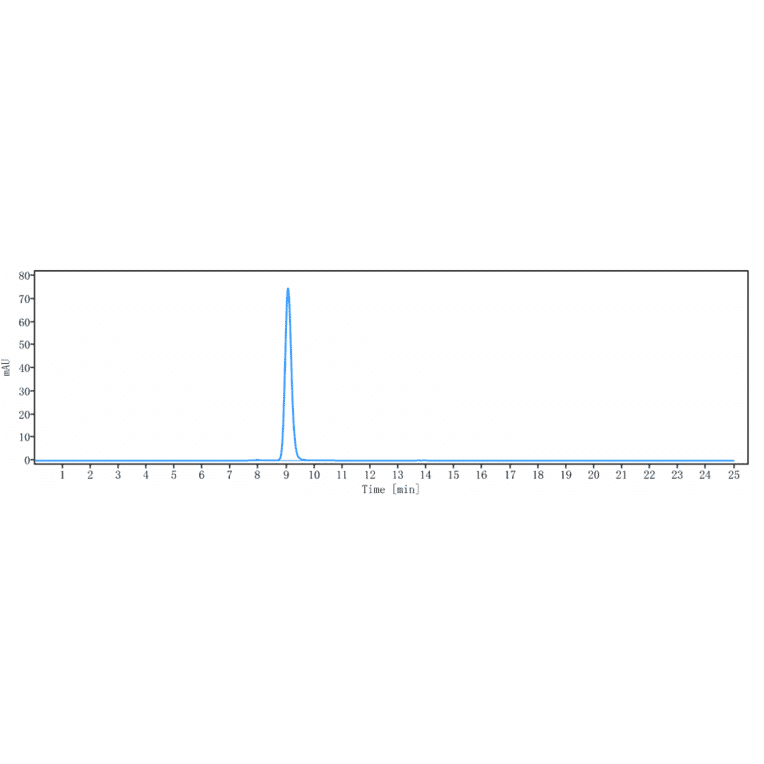 SEC-HPLC - Anti-CEACAM1 Antibody [Research Grade Biosimilar] - Low endotoxin, Azide free (A323962) - Antibodies.com
