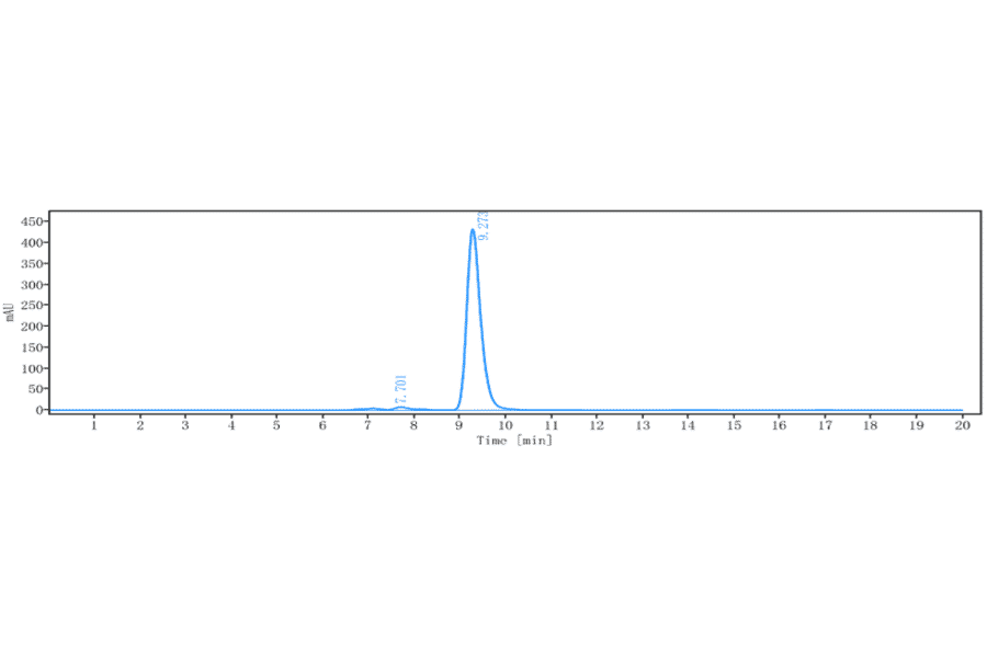 SEC-HPLC - Anti-CEACAM1 Antibody [CM24] - Low endotoxin, Azide free (A323963) - Antibodies.com
