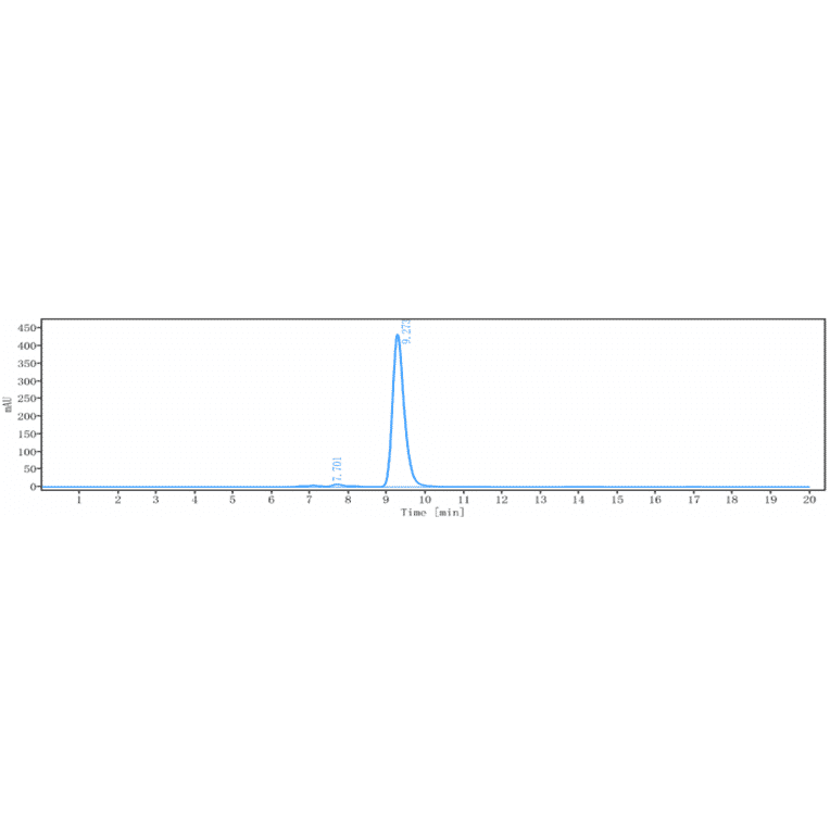 SEC-HPLC - Anti-CEACAM1 Antibody [CM24] - Low endotoxin, Azide free (A323963) - Antibodies.com