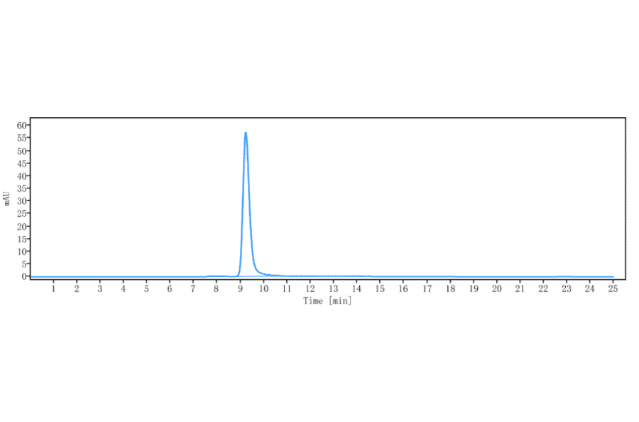 SEC-HPLC - Anti-Claudin 6 Antibody [DS-9606a] - Low endotoxin, Azide free (A323967) - Antibodies.com