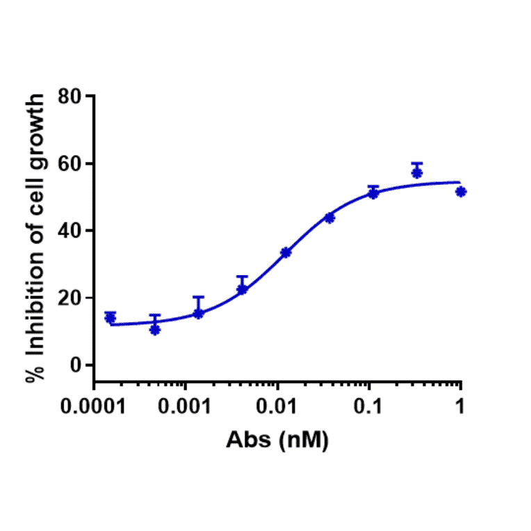Function:Internalization - Anti-Claudin 6 Antibody [DS-9606a] - Low endotoxin, Azide free (A323967) - Antibodies.com