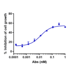 Function:Internalization - Anti-Claudin 6 Antibody [DS-9606a] - Low endotoxin, Azide free (A323967) - Antibodies.com