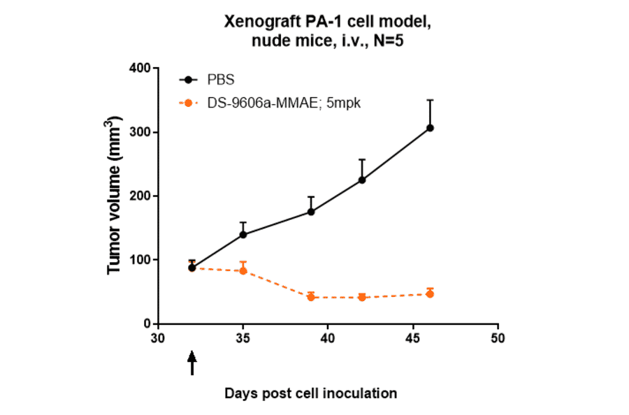 Research in vivo - Anti-Claudin 6 Antibody [DS-9606a] - Low endotoxin, Azide free (A323967) - Antibodies.com