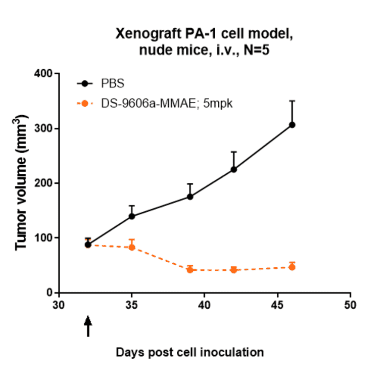 Research in vivo - Anti-Claudin 6 Antibody [DS-9606a] - Low endotoxin, Azide free (A323967) - Antibodies.com