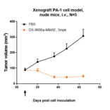 Research in vivo - Anti-Claudin 6 Antibody [DS-9606a] - Low endotoxin, Azide free (A323967) - Antibodies.com
