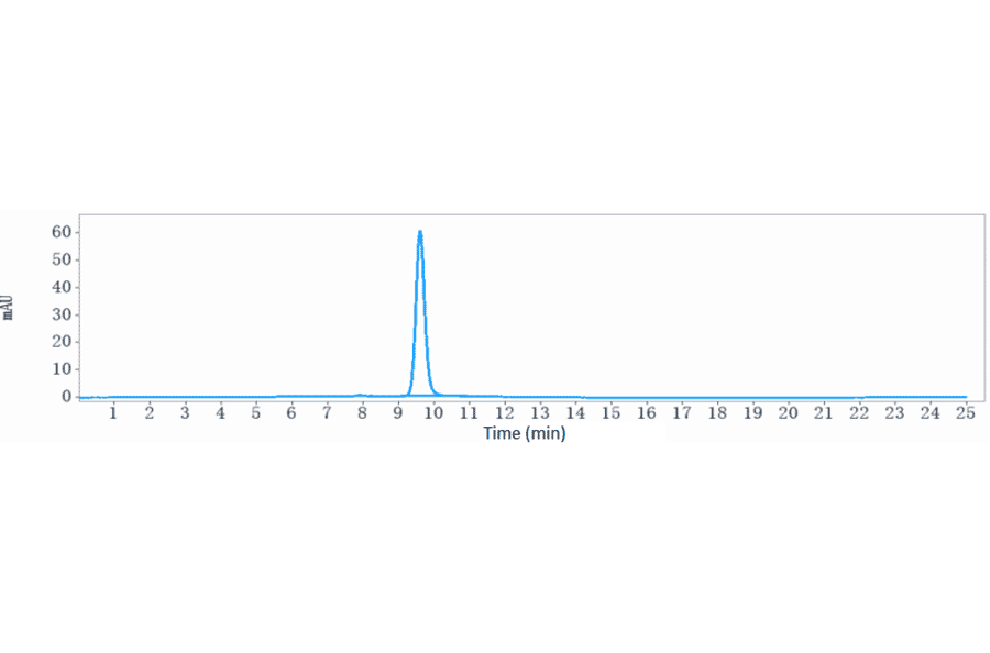 SEC-HPLC - Anti-Claudin 6 Antibody [IMAB027] - Low endotoxin, Azide free (A323968) - Antibodies.com