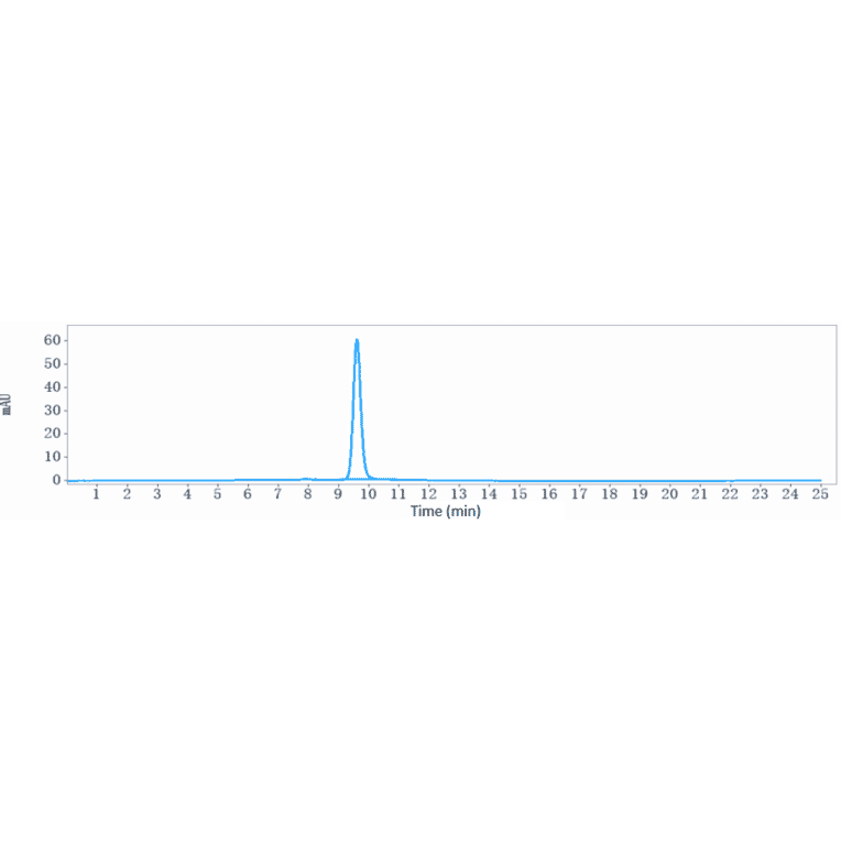 SEC-HPLC - Anti-Claudin 6 Antibody [IMAB027] - Low endotoxin, Azide free (A323968) - Antibodies.com