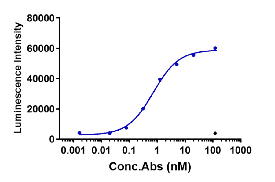 Function:ADCC - Anti-Claudin 6 Antibody [IMAB027] - Low endotoxin, Azide free (A323968) - Antibodies.com