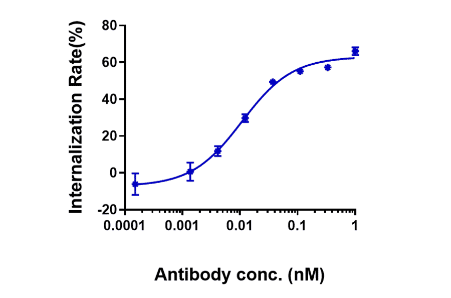 Function:Internalization - Anti-Claudin 6 Antibody [IMAB027] - Low endotoxin, Azide free (A323968) - Antibodies.com