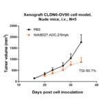 Research in vivo - Anti-Claudin 6 Antibody [IMAB027] - Low endotoxin, Azide free (A323968) - Antibodies.com