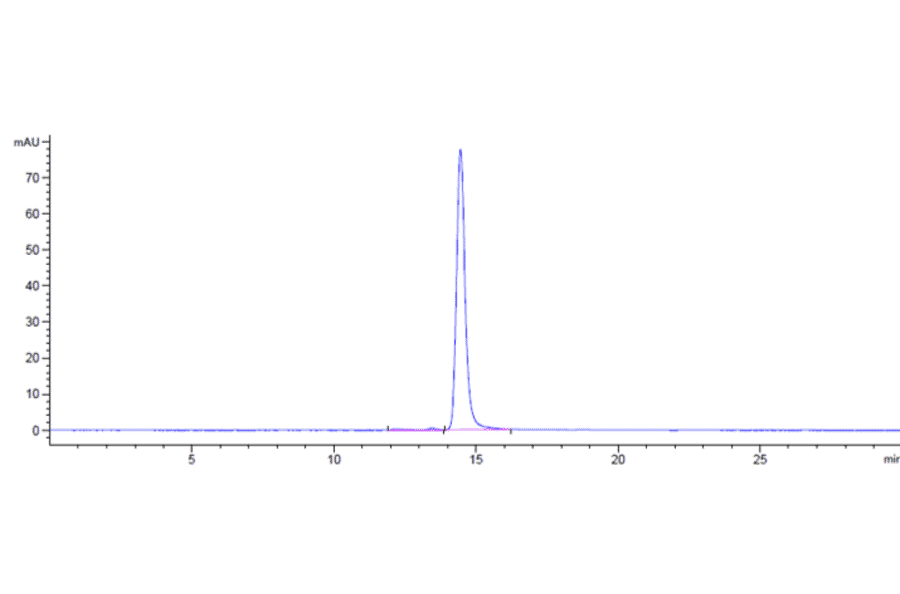 SEC-HPLC - Anti-Claudin 6 Antibody [AB1-11] - Low endotoxin, Azide free (A323969) - Antibodies.com