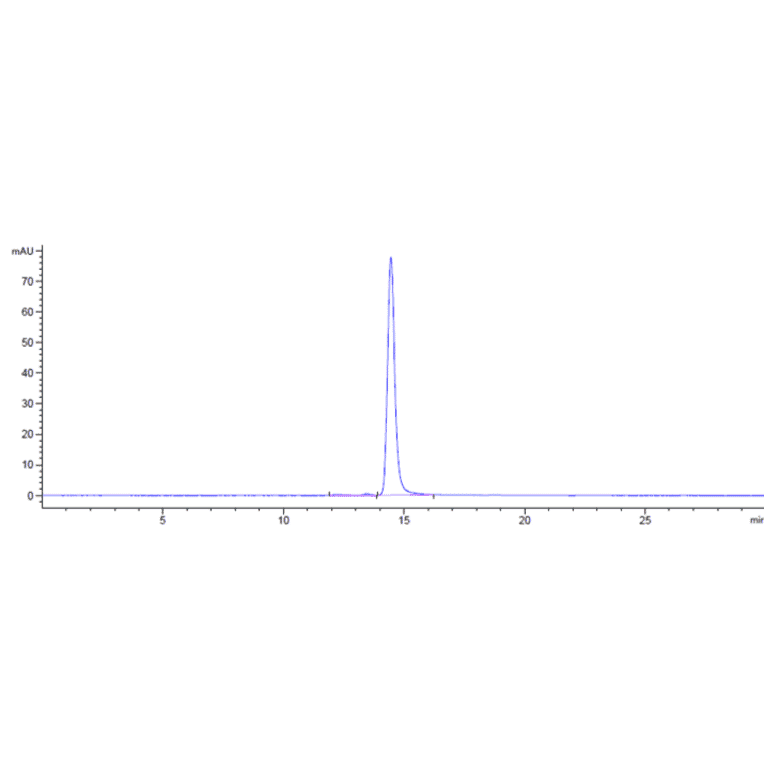 SEC-HPLC - Anti-Claudin 6 Antibody [AB1-11] - Low endotoxin, Azide free (A323969) - Antibodies.com