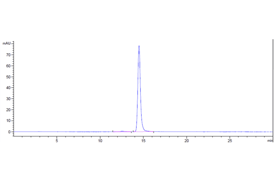 SEC-HPLC - Anti-Claudin 6 Antibody [AB3-7] - Low endotoxin, Azide free (A323970) - Antibodies.com