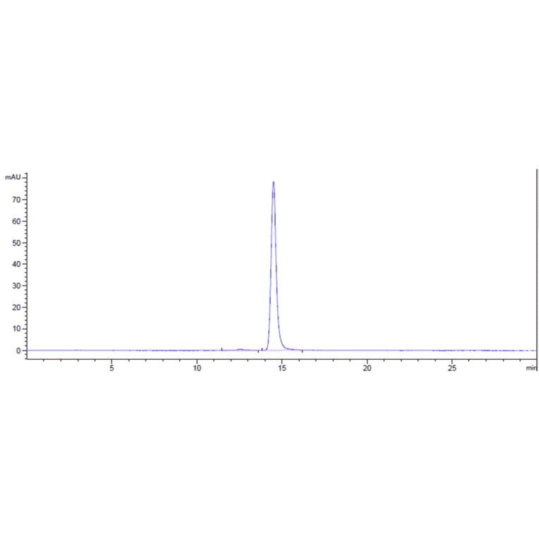 SEC-HPLC - Anti-Claudin 6 Antibody [AB3-7] - Low endotoxin, Azide free (A323970) - Antibodies.com