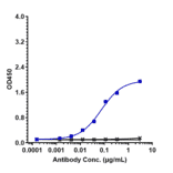 ELISA - Anti-Claudin 6 Antibody [AB3-7] - Low endotoxin, Azide free (A323970) - Antibodies.com