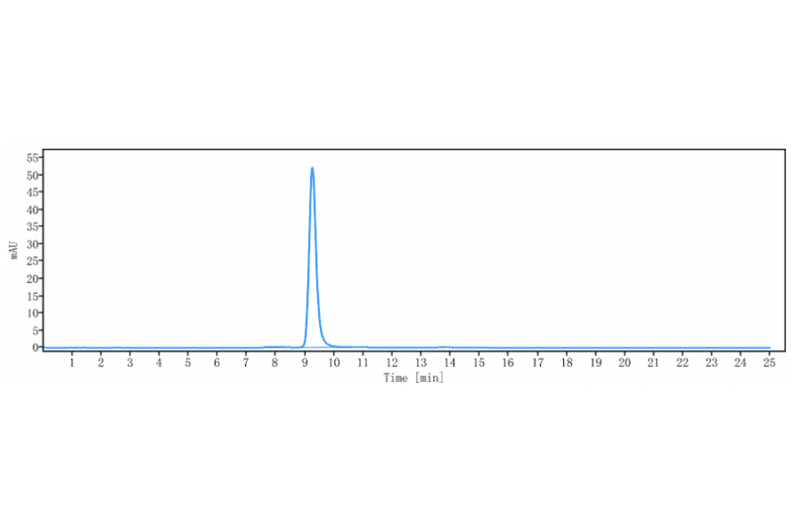 SEC-HPLC - Anti-Claudin 6 Antibody [64A] - Low endotoxin, Azide free (A323971) - Antibodies.com