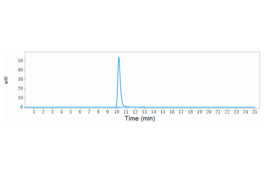 SEC-HPLC - Anti-Claudin 6 Antibody [AE3-20] - Low endotoxin, Azide free (A323972) - Antibodies.com