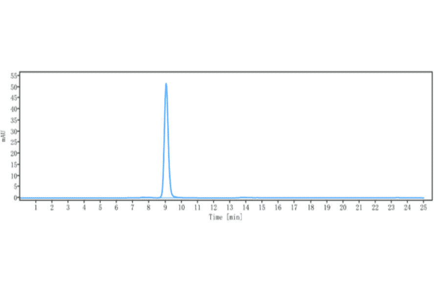 SEC-HPLC - Anti-Claudin 6 Antibody [IM-302] - Low endotoxin, Azide free (A323974) - Antibodies.com