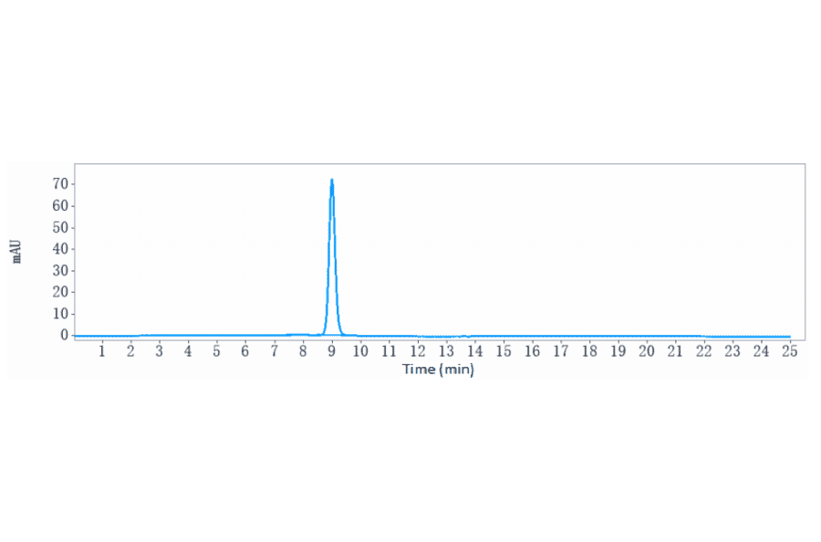 SEC-HPLC - Anti-CLEC4C Antibody [Research Grade Biosimilar] - Low endotoxin, Azide free (A323976) - Antibodies.com