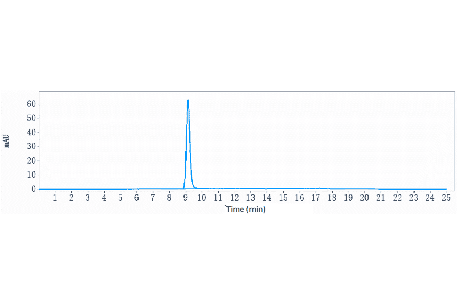 SEC-HPLC - Anti-Clusterin Antibody [AB-16B5] - Low endotoxin, Azide free (A323978) - Antibodies.com